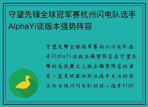 守望先锋全球冠军赛杭州闪电队选手AlphaYi谈版本强势阵容