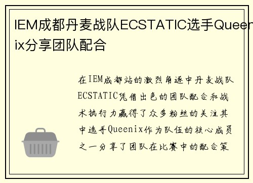 IEM成都丹麦战队ECSTATIC选手Queenix分享团队配合